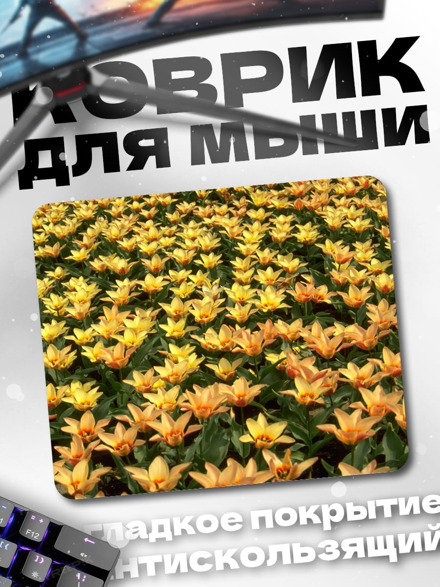 Коврик поле тюльпанов