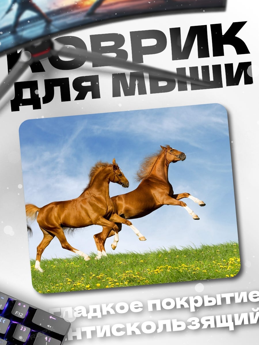 Коврик два коня
