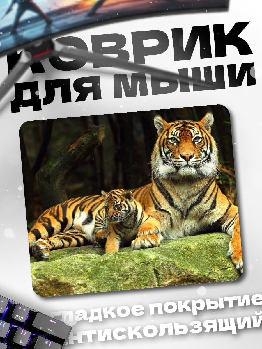 Коврик Два тигра на камне