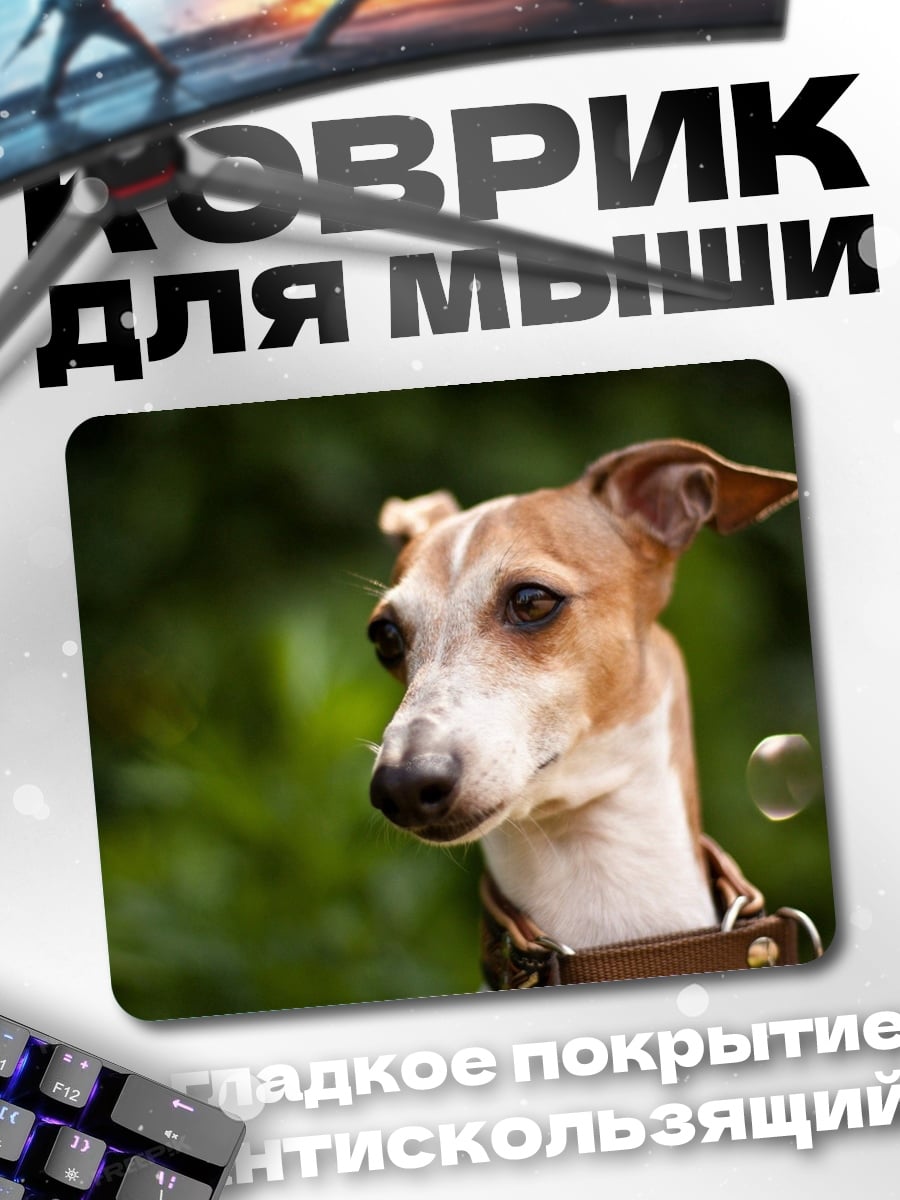 Коврик Портрет собаки