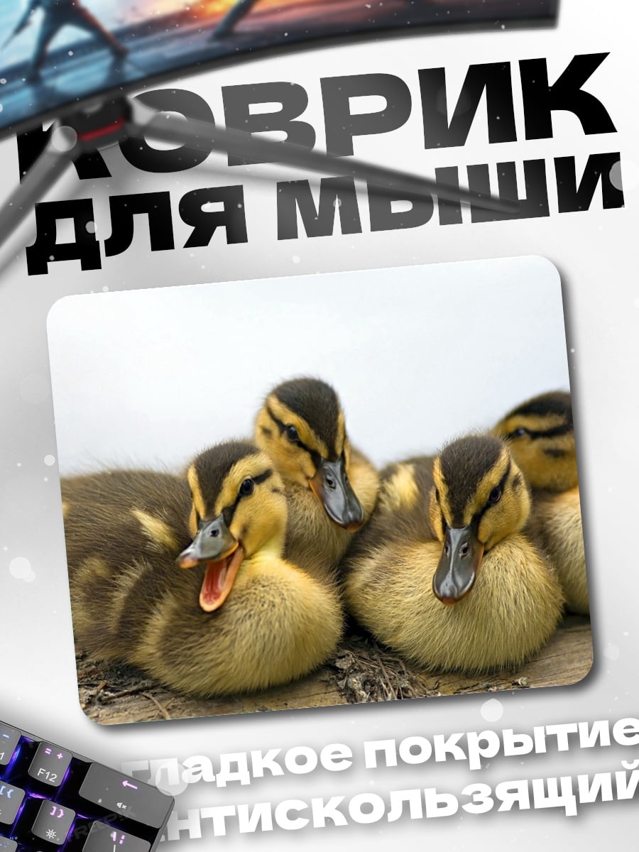 Коврик Утята на бревне