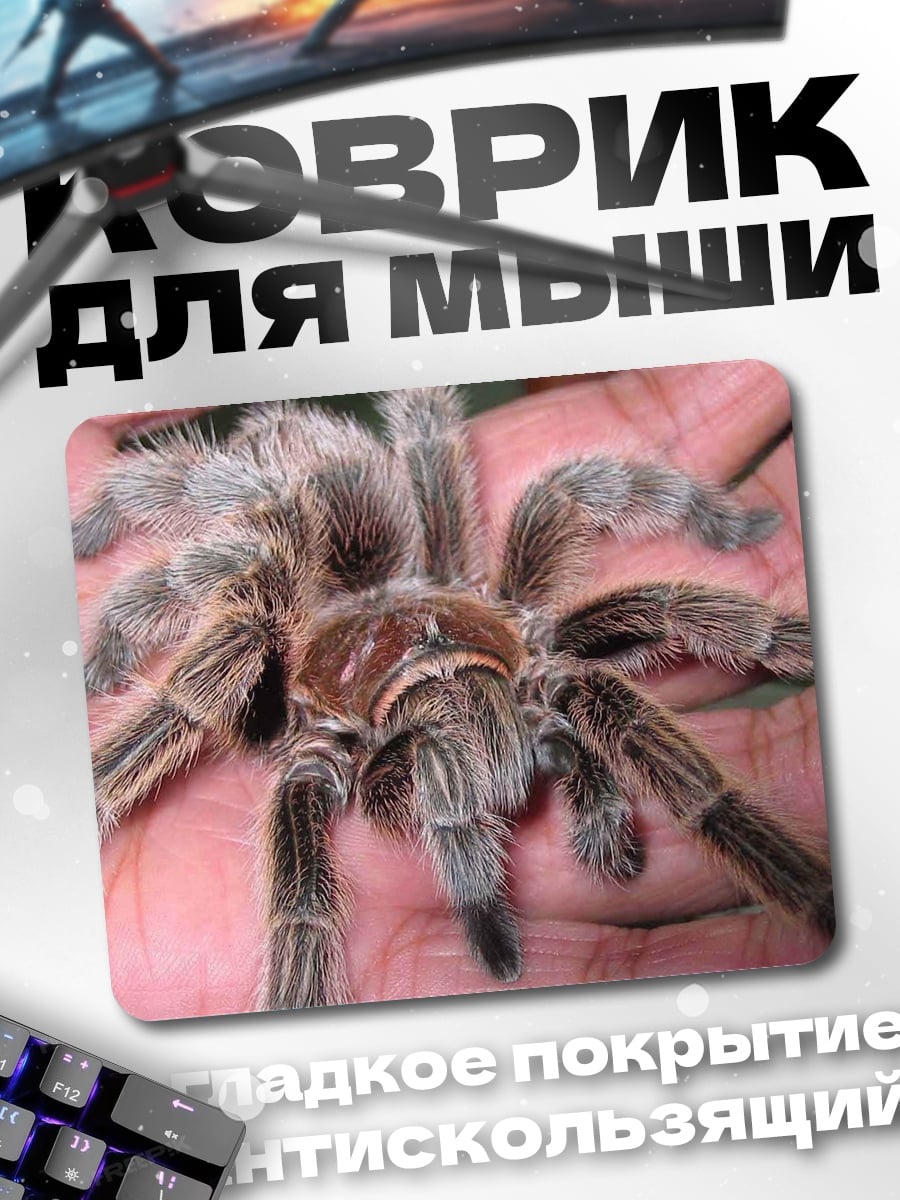 Коврик паук тарантул