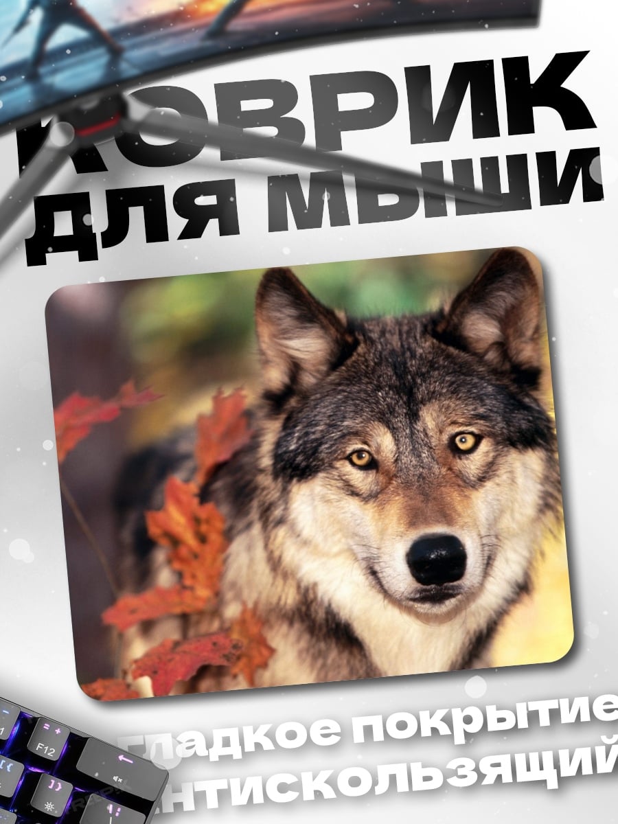 Коврик Волк осенний лес