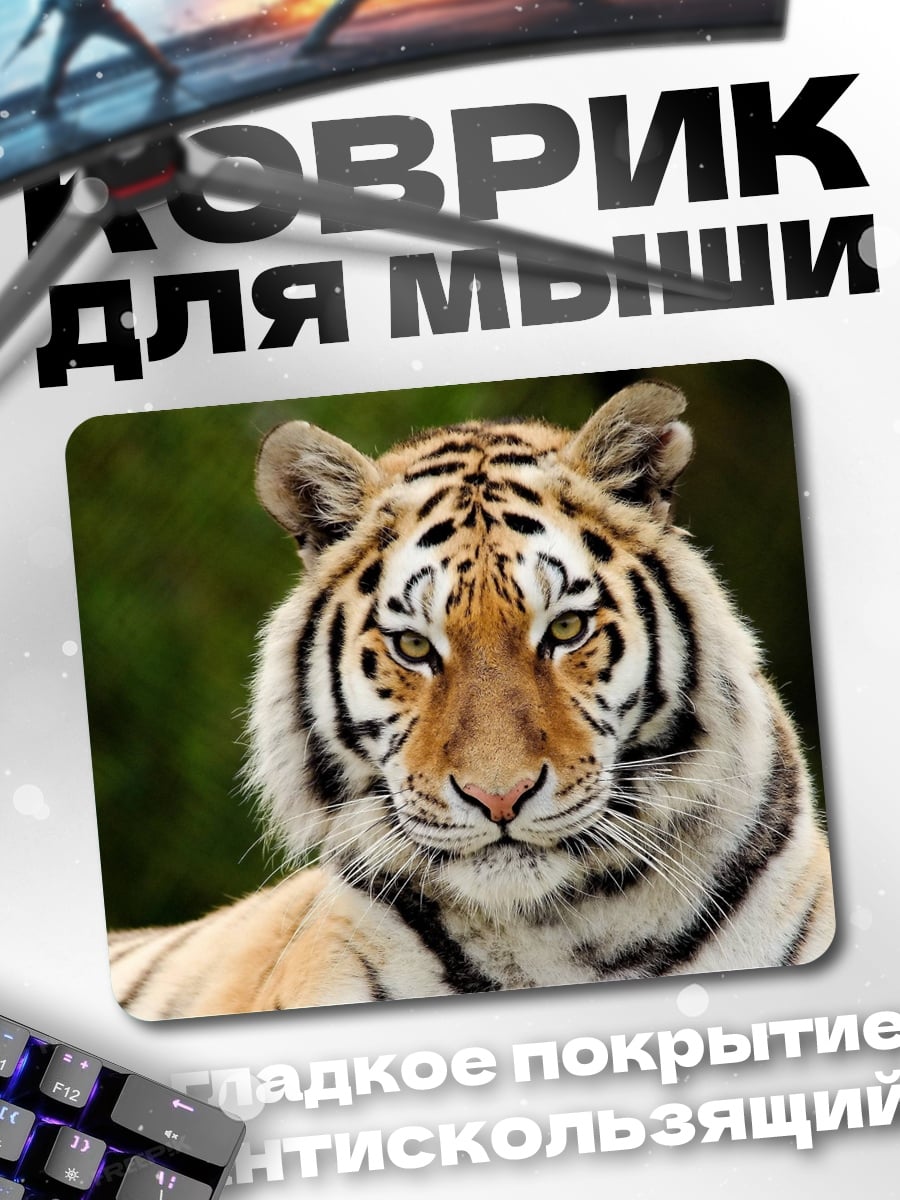 Коврик Морда тигра