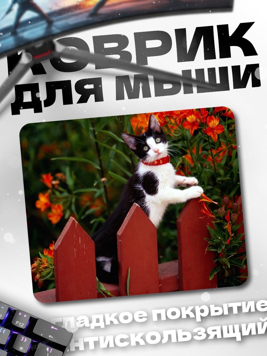 Коврик Кот на заборе
