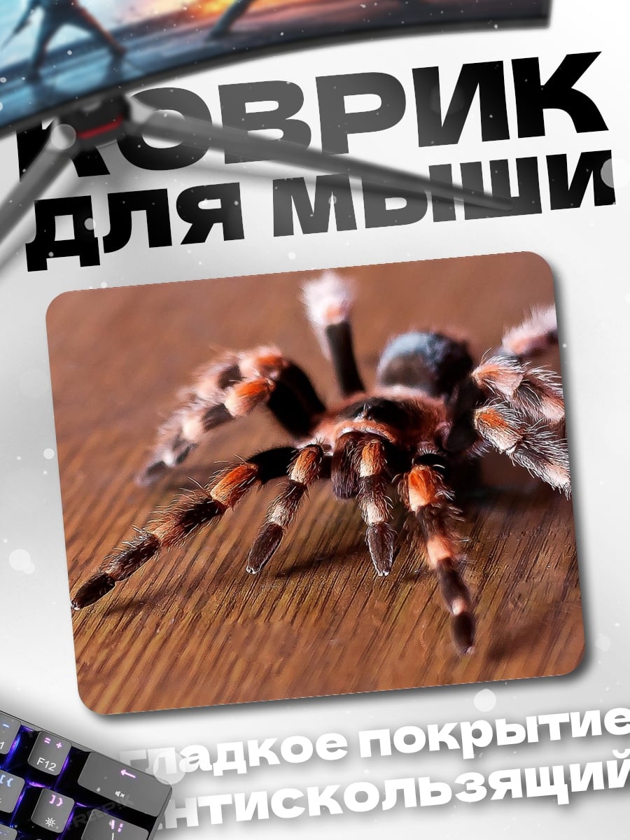 Коврик Паук тарантул крупным планом