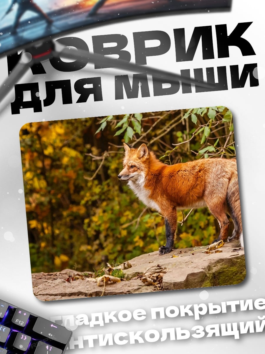 Коврик Лиса на камне