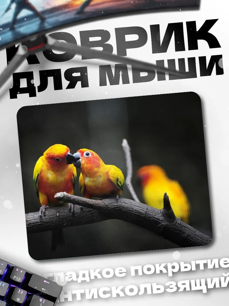 Коврик Две птицы