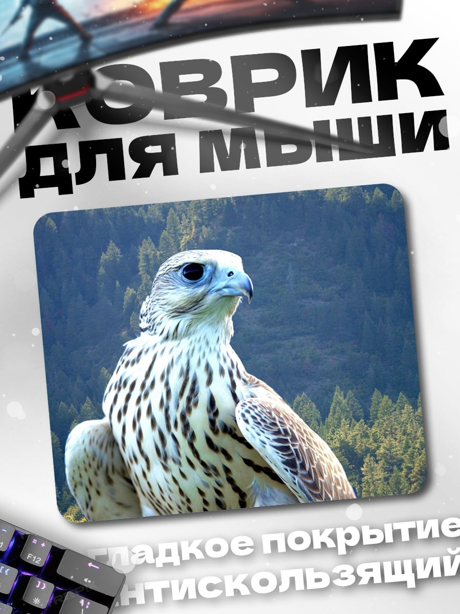 Коврик хищная птица в горах