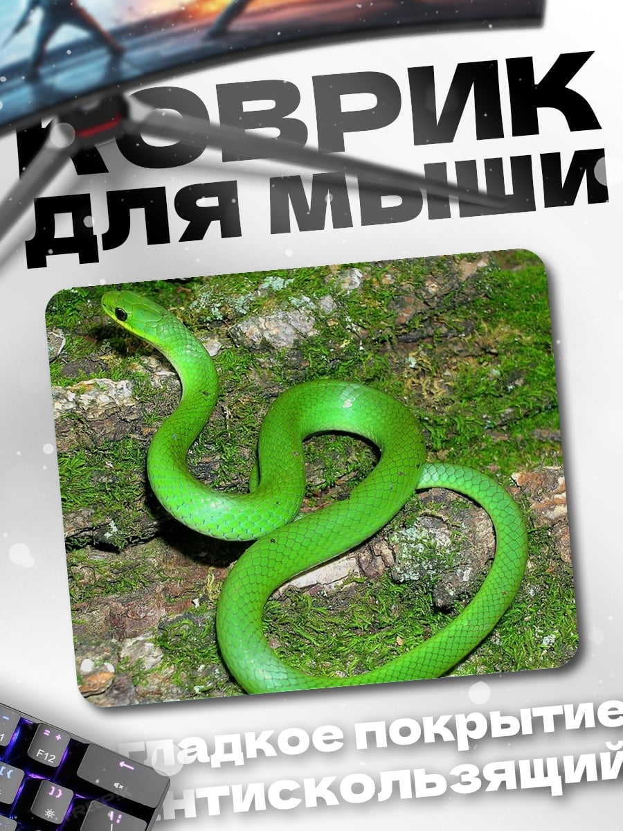 Коврик Зелёная змея