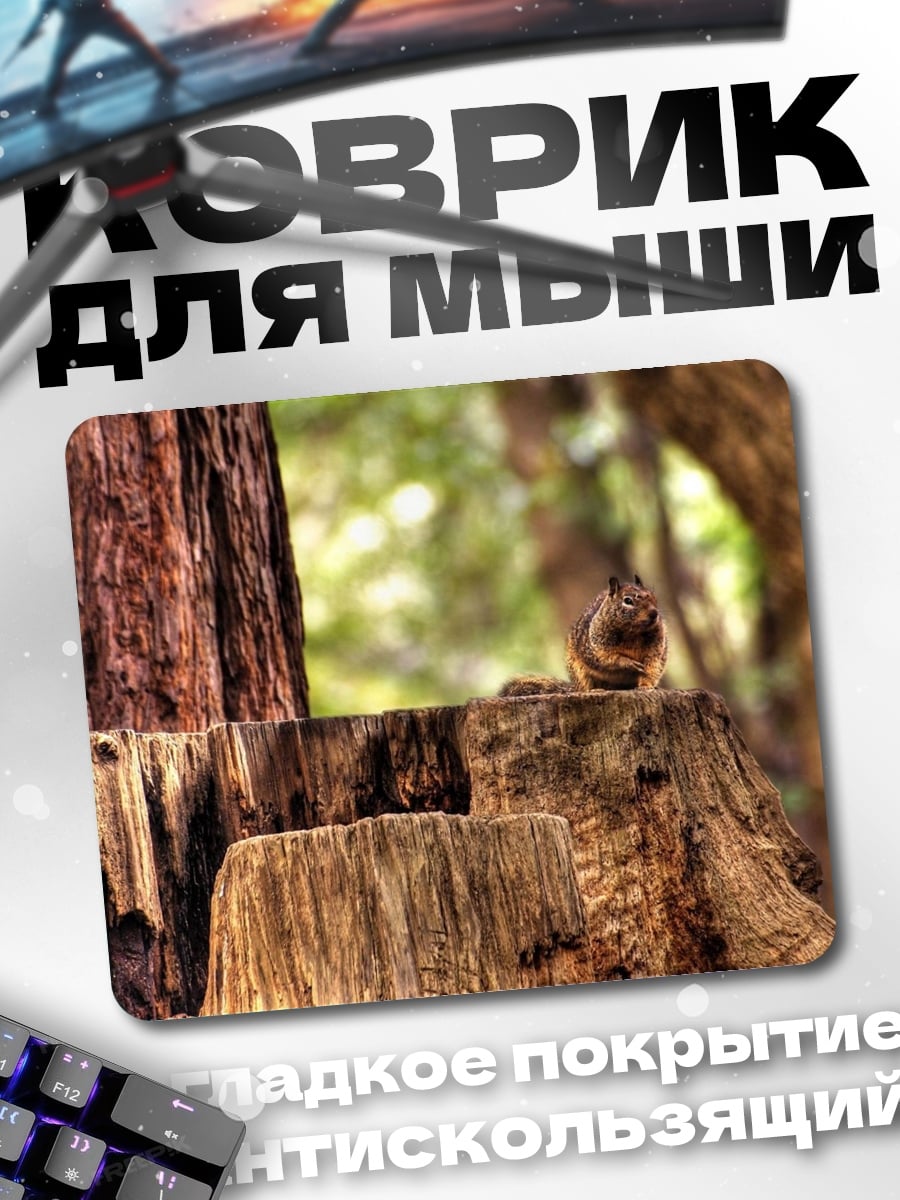 Коврик Белка на пне