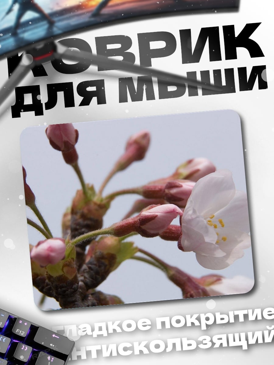 Коврик Цветущая сакура