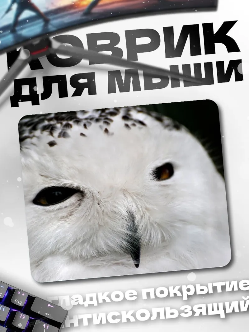 Коврик снежная сова