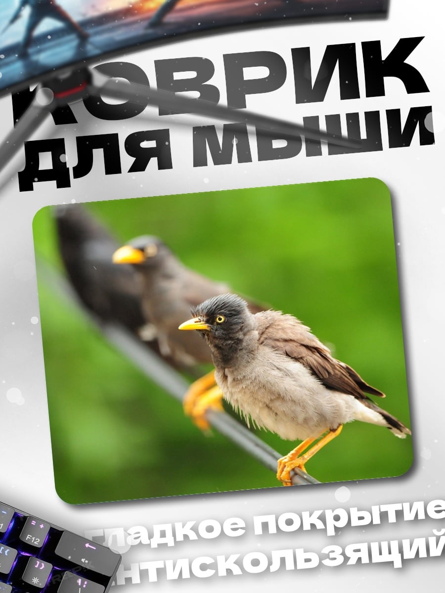 Коврик Птицы на проводе