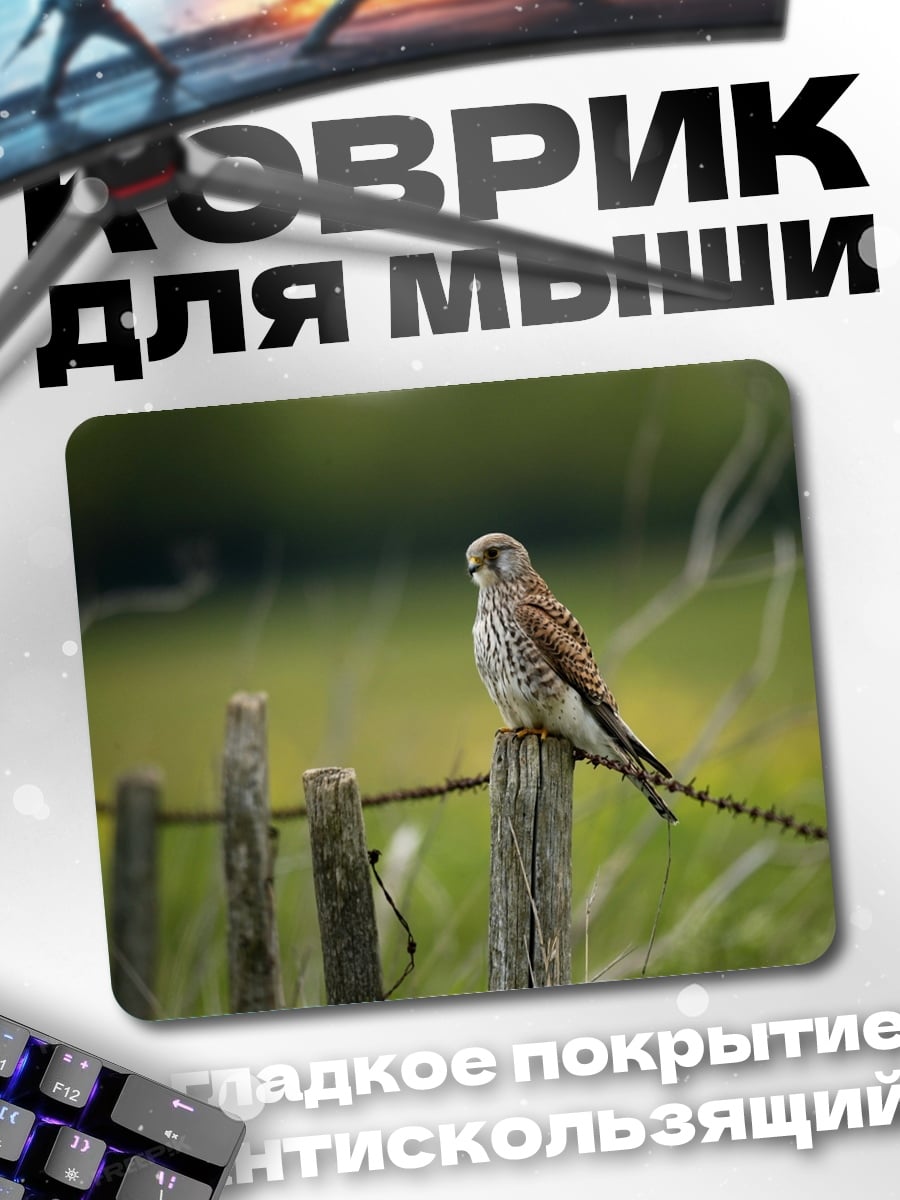 Коврик Пустельга на заборе