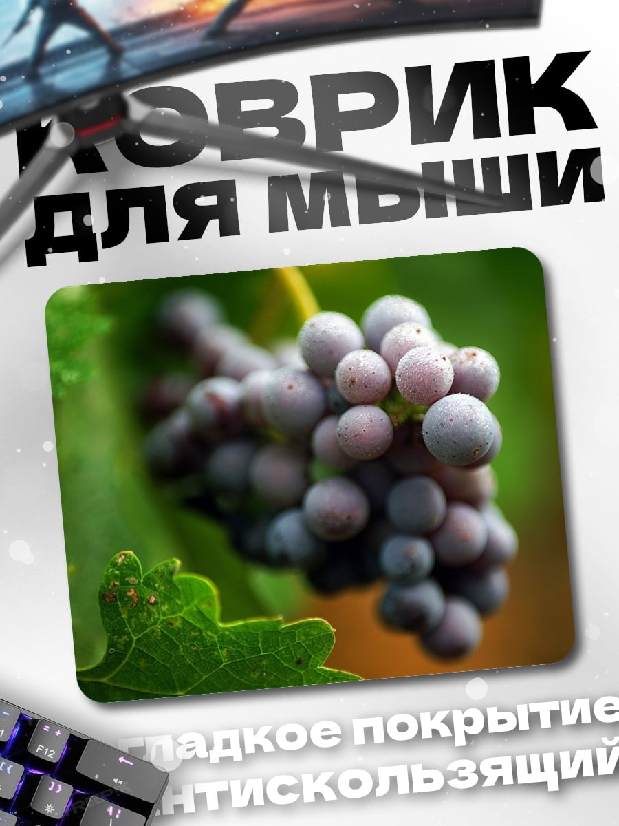 Коврик Виноградная лоза осенью