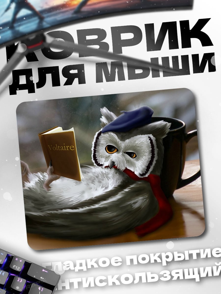 Коврик Сова Читает Книгу
