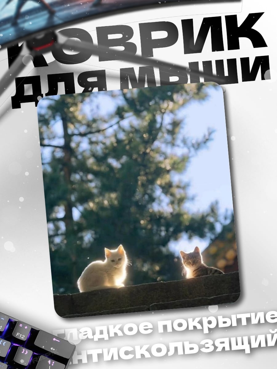Коврик Два котенка на заборе