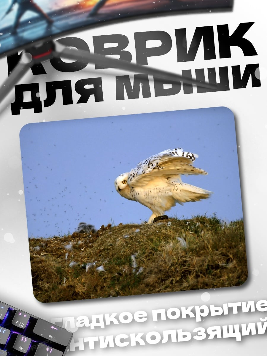 Коврик Белая сова