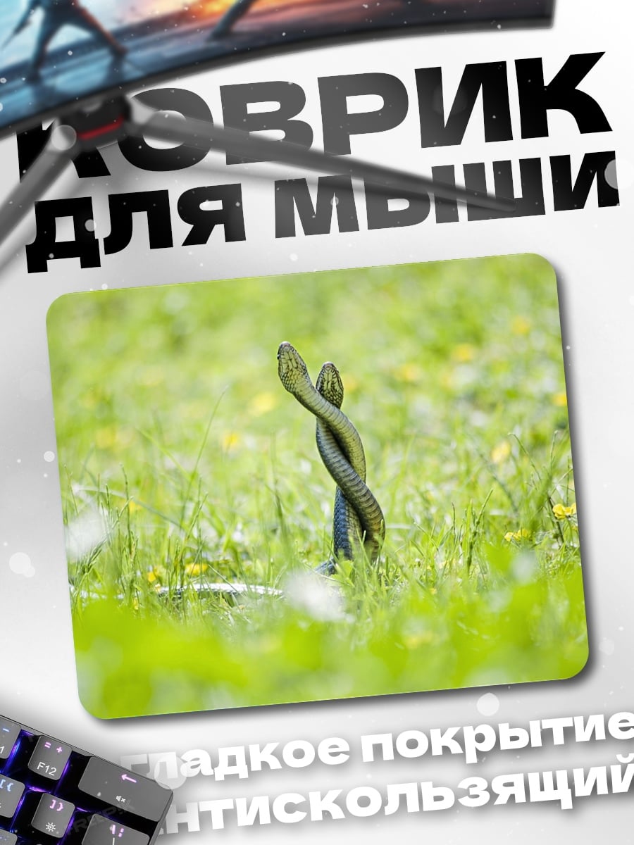 Коврик змеи в траве