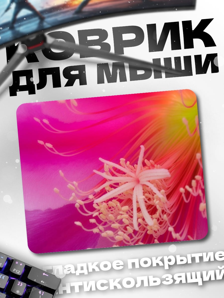 Коврик Яркий цветок кактуса