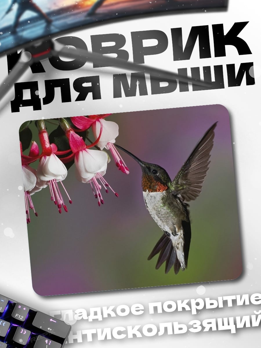 Коврик Колибри и фуксия