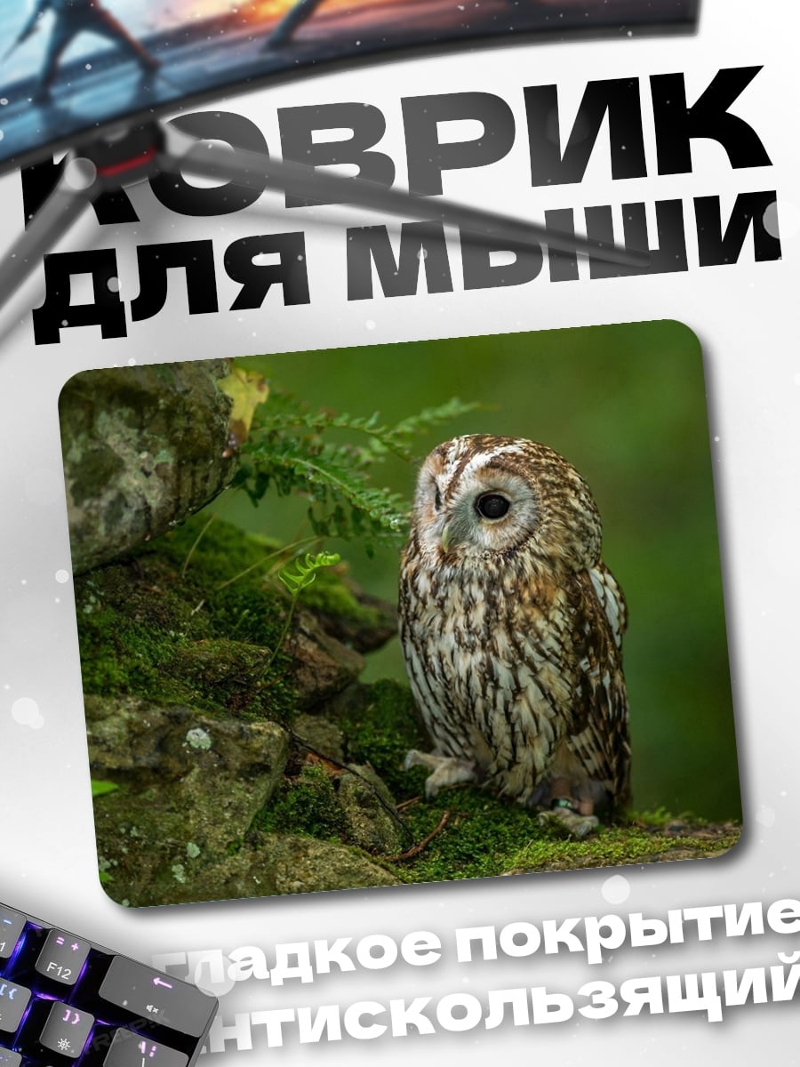 Коврик Сова на камне