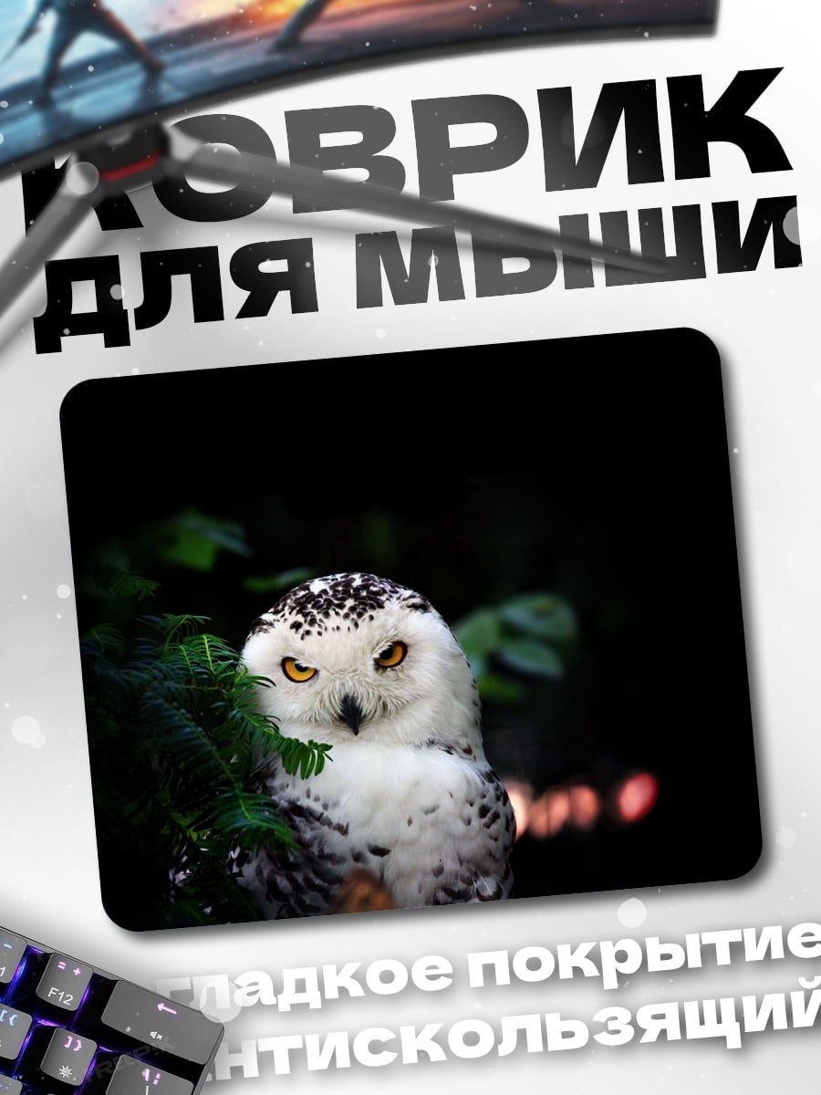 Коврик Снежная сова смотрит