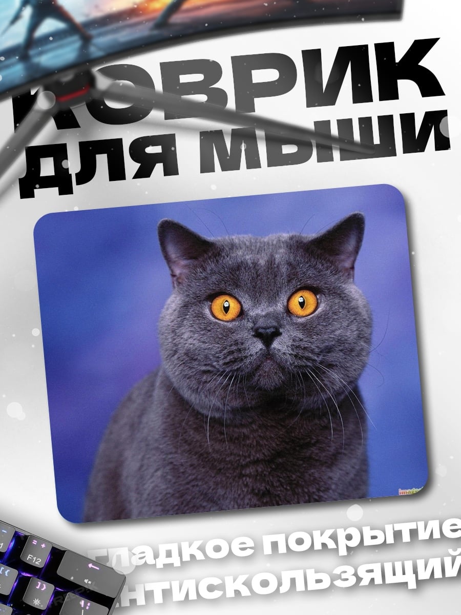 Коврик Британский кот