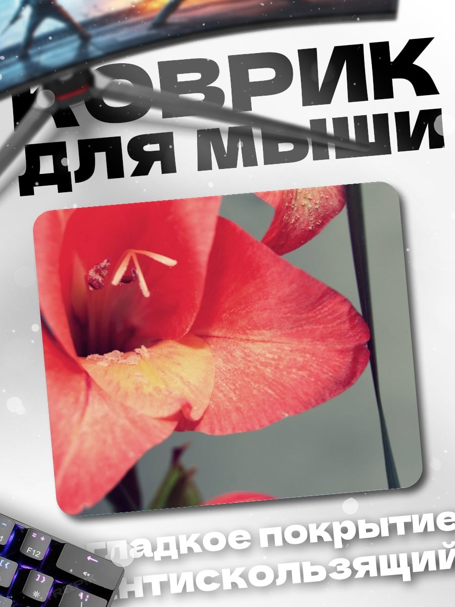 Коврик Крупный план гладиолуса