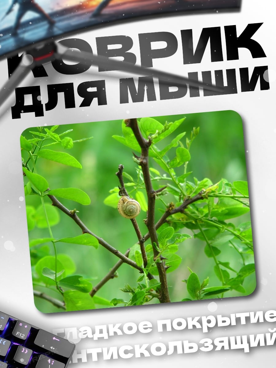 Коврик улитка на ветке