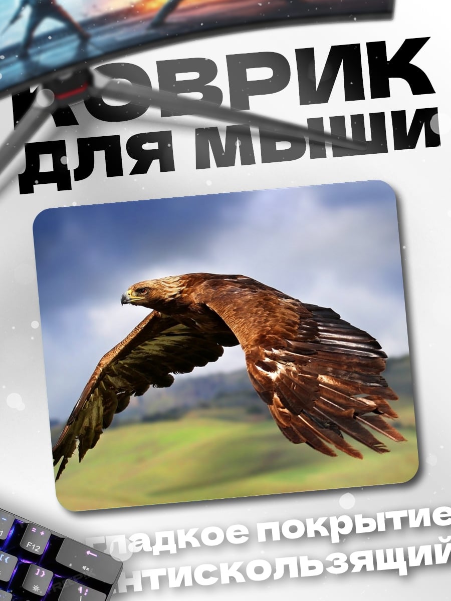 Коврик Орел в полете