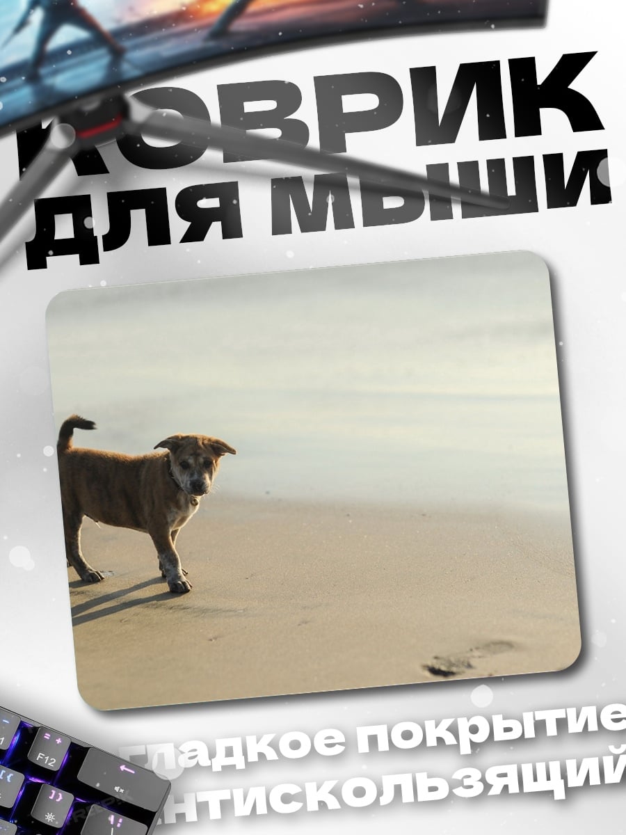 Коврик Собака на пляже