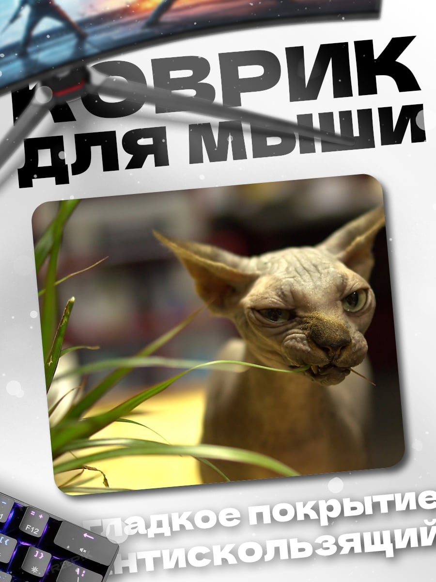 Коврик Кот породы сфинкс