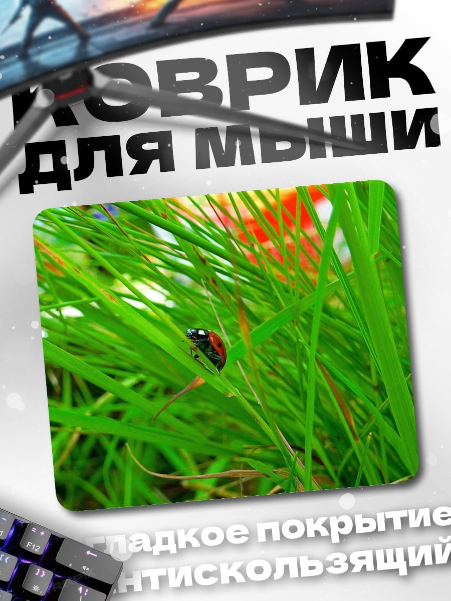 Коврик Божья коровка на траве