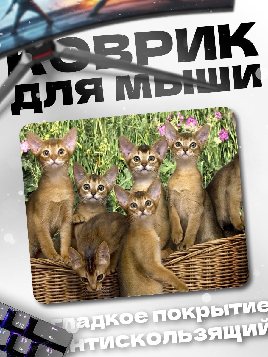 Коврик Котята в корзине