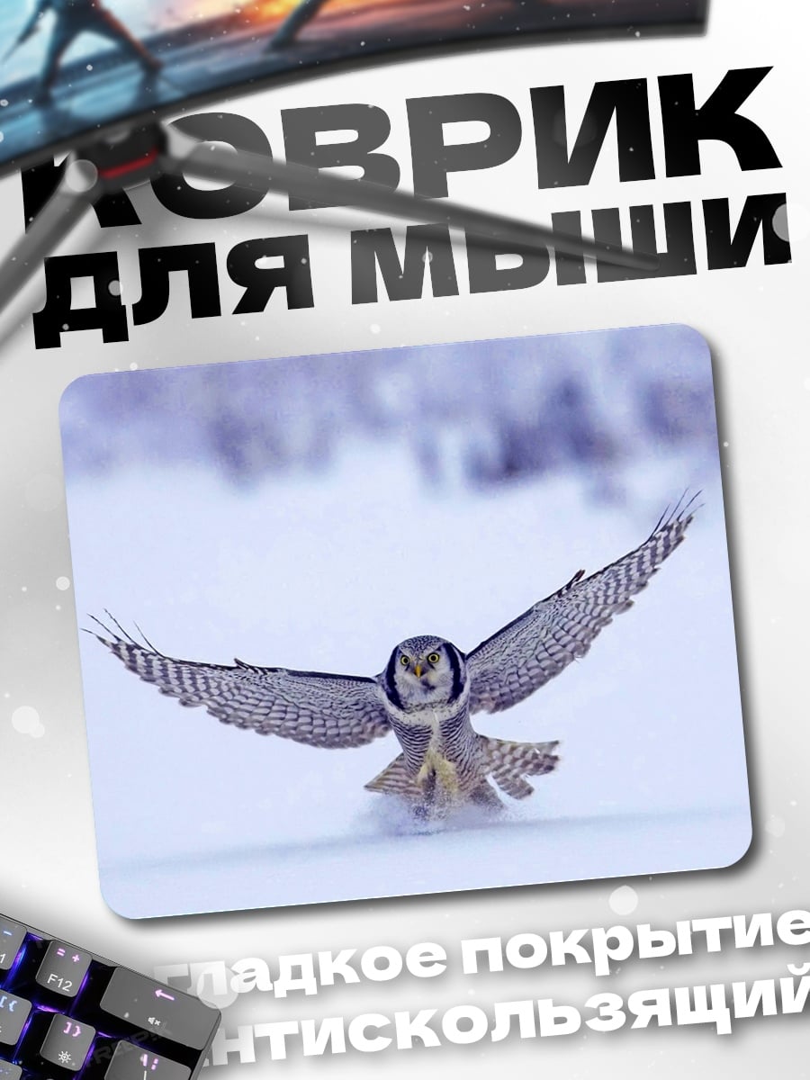 Коврик Сова в полете