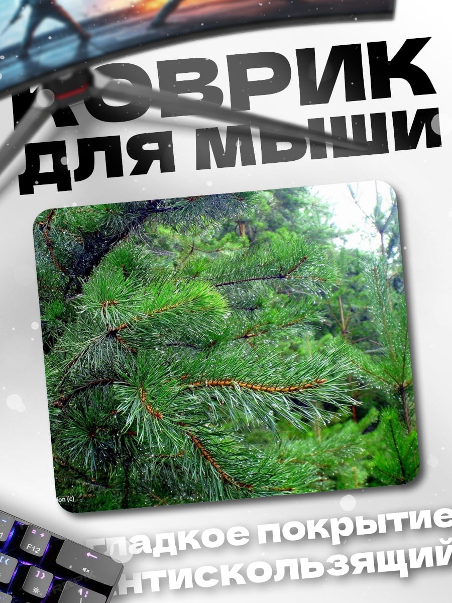 Коврик Ветки сосны