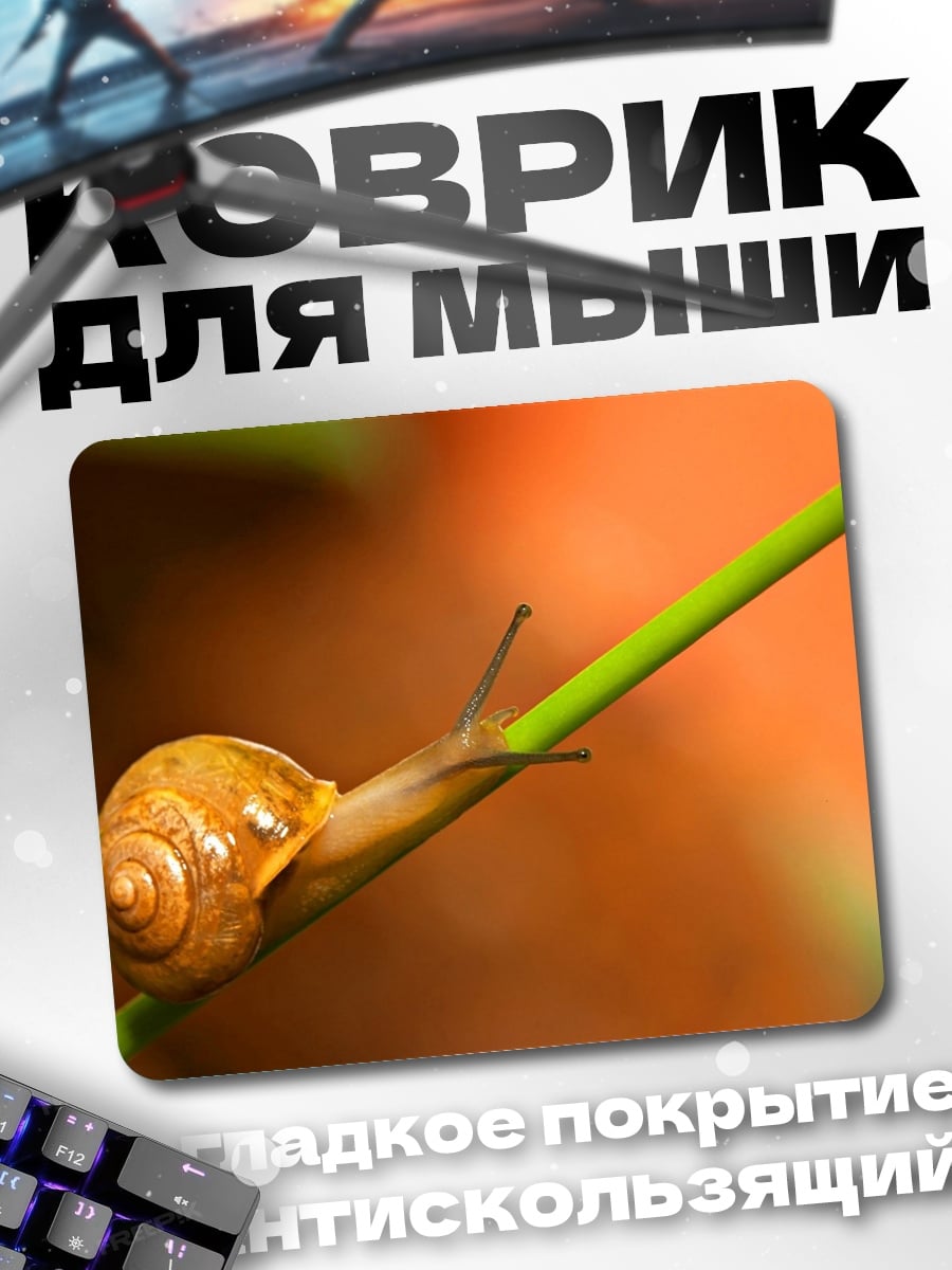 Коврик Улитка на ветке