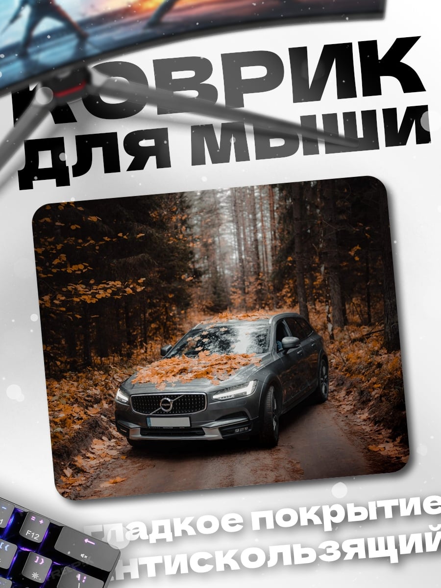 Коврик Осенний лес и машина