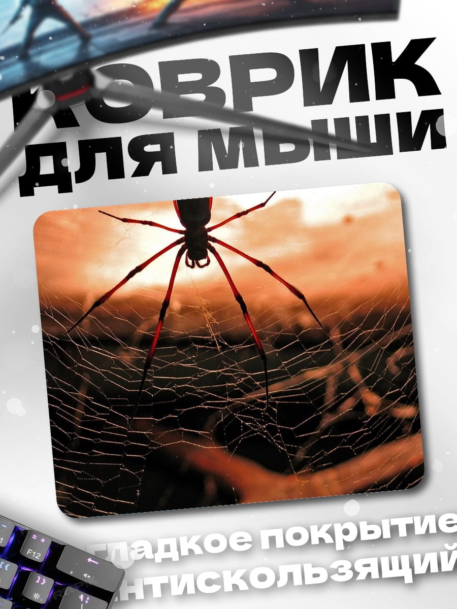 Коврик Паук на паутине