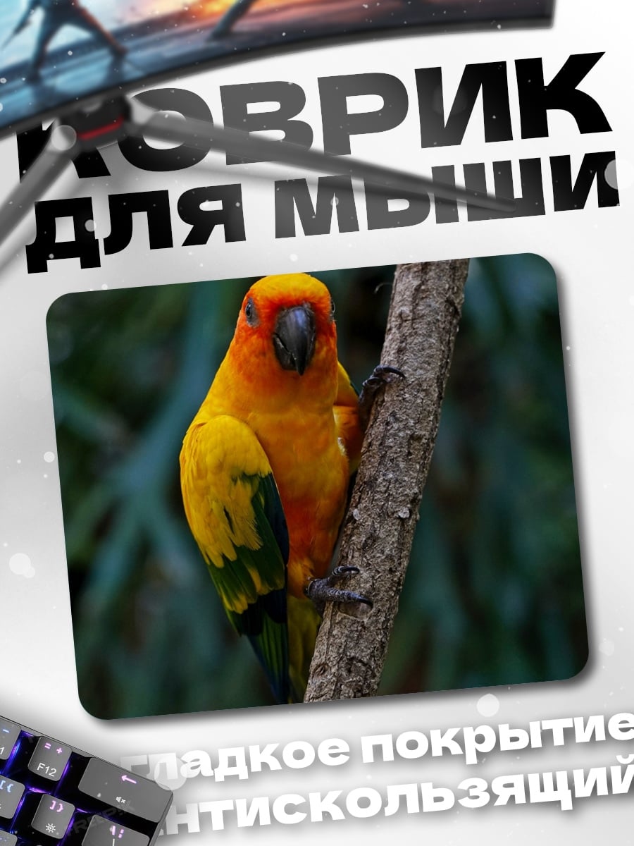 Коврик оранжевый попугай