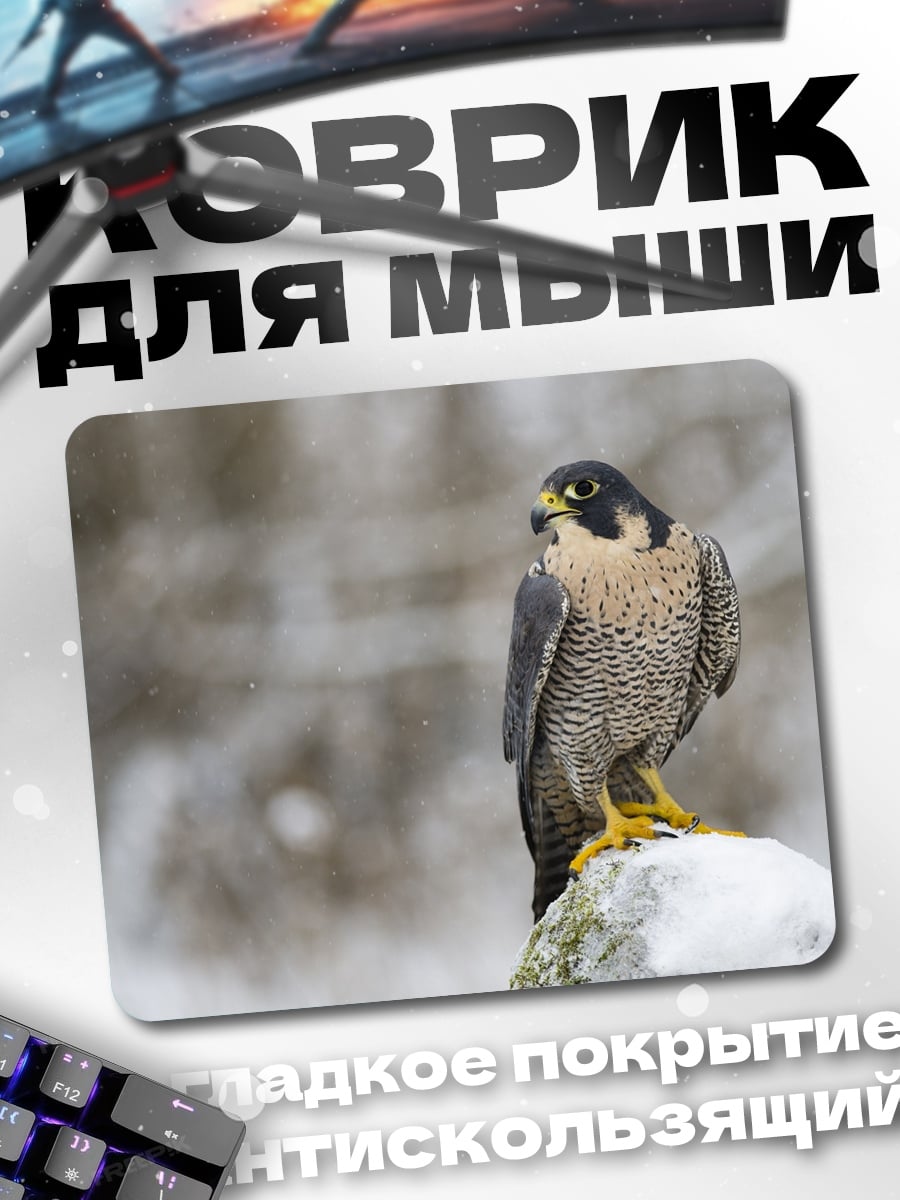 Коврик Сокол на камне