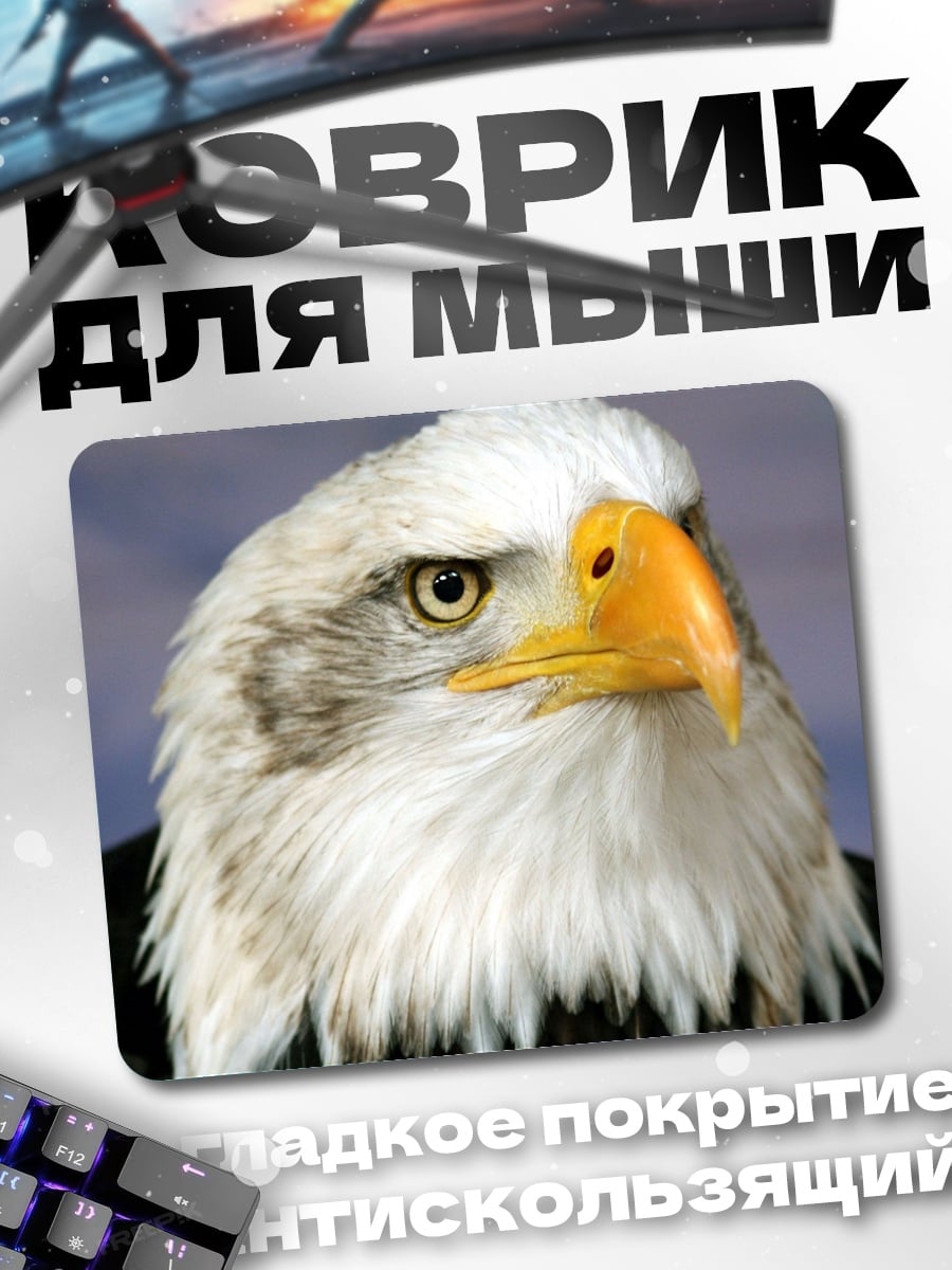Коврик орёл