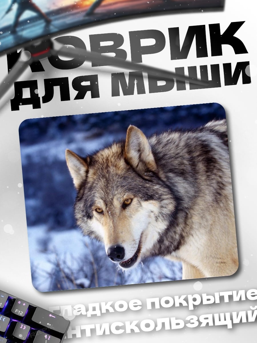 Коврик Зимний волк смотрит