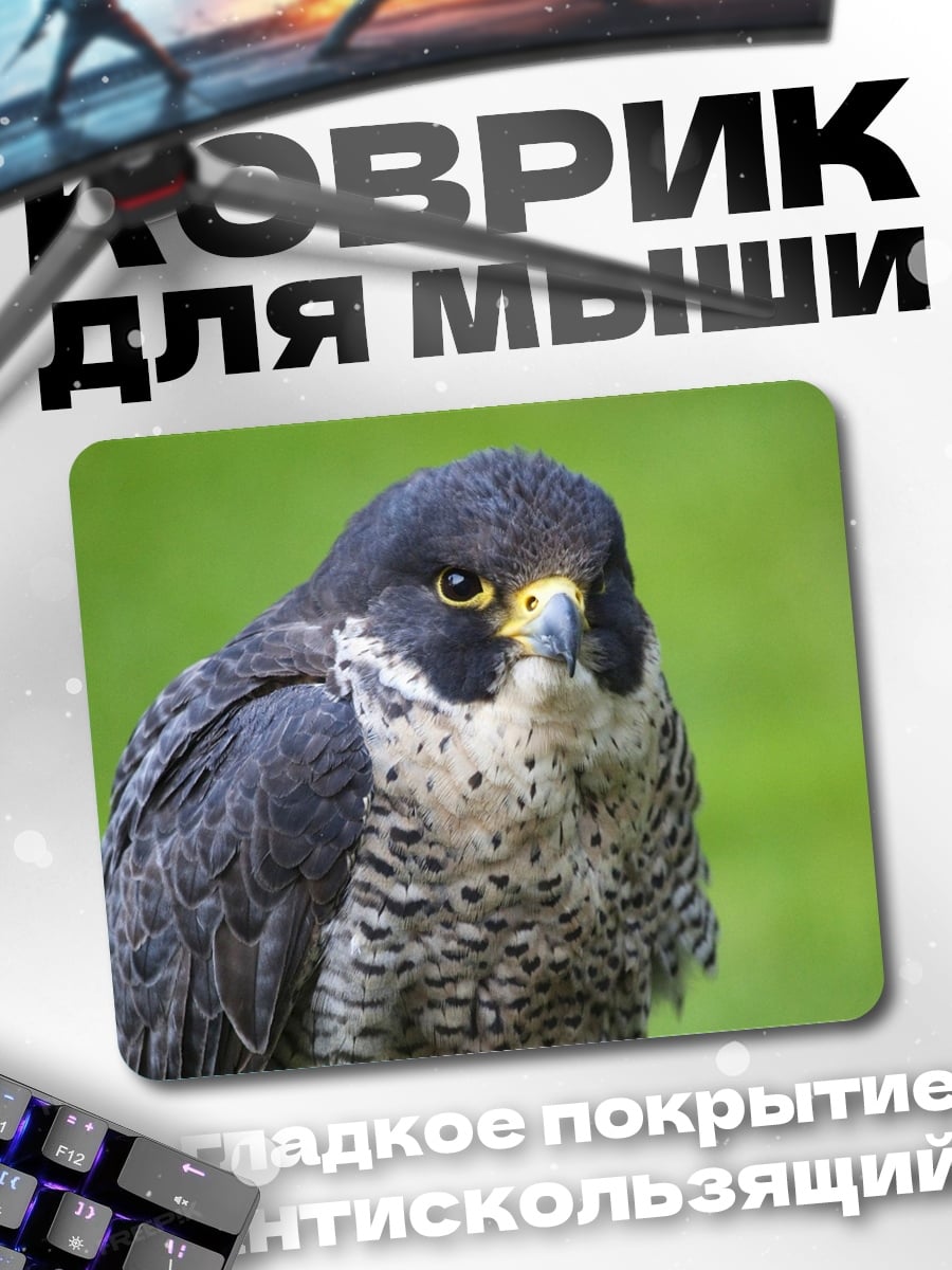 Коврик Сокол в природе