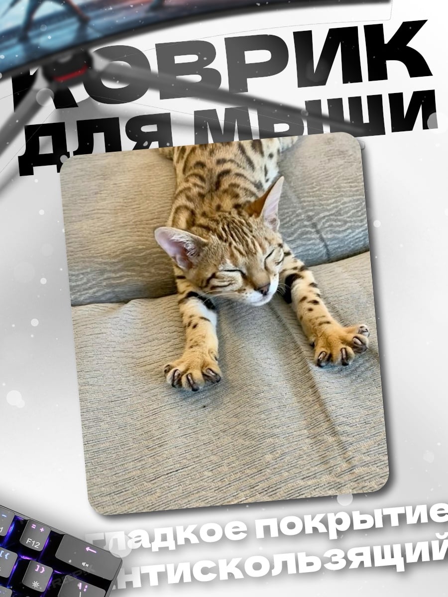 Коврик Ленивый бенгальский кот
