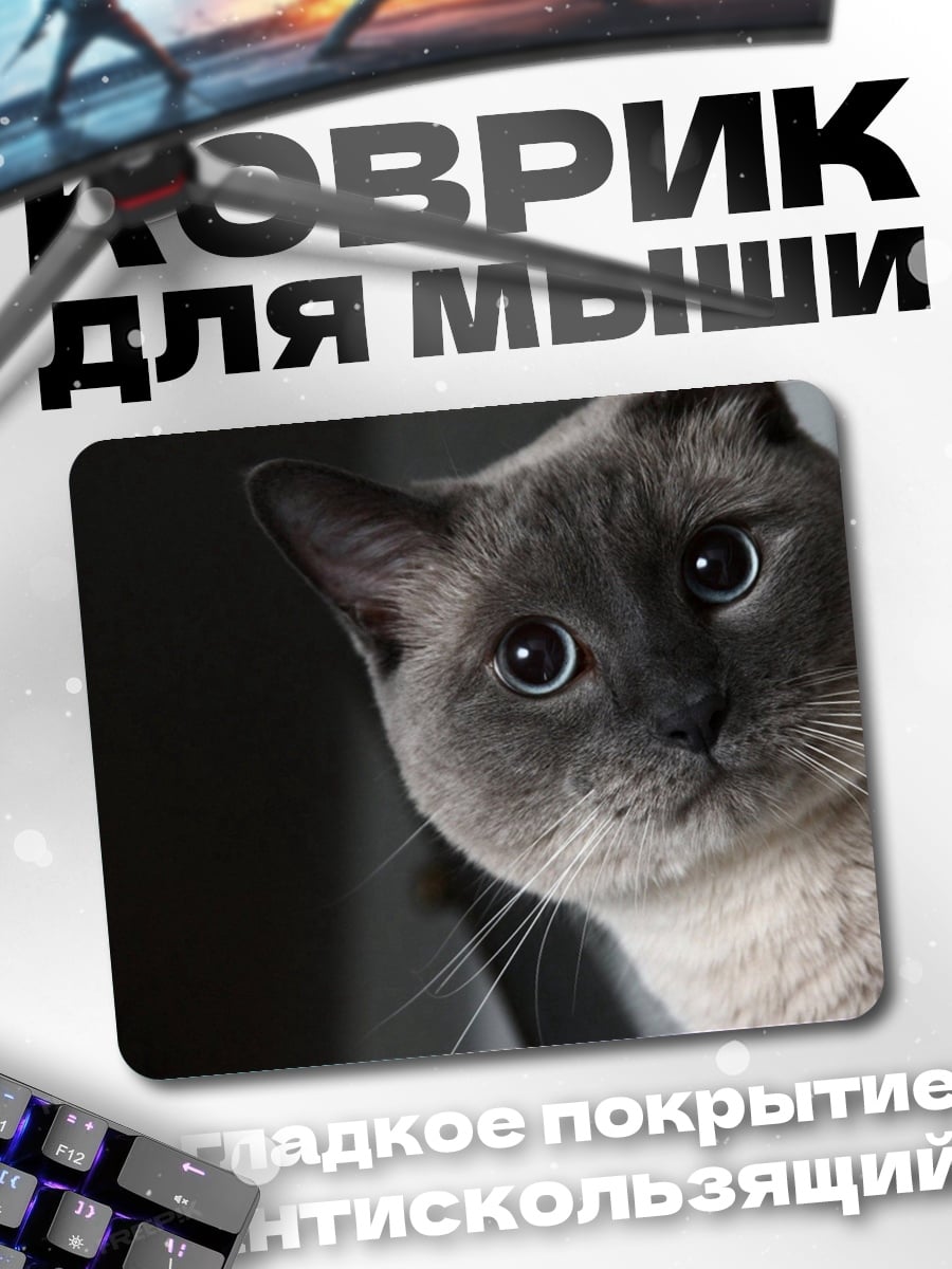 Коврик Задумчивый кот