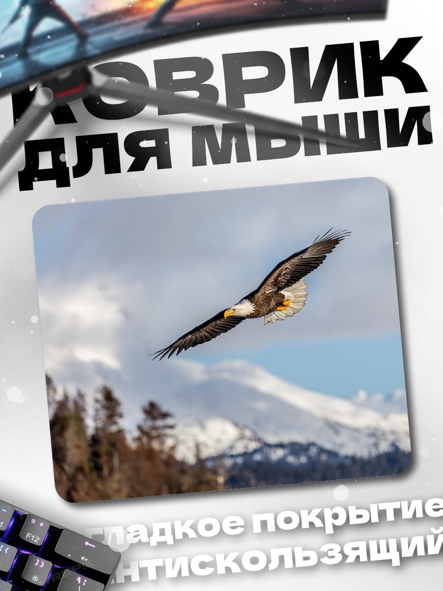 Коврик Орел в полете