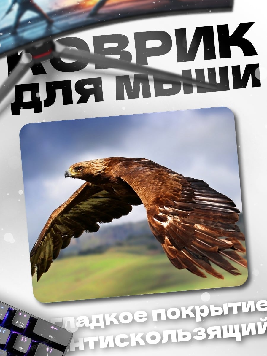Коврик Орел в полете